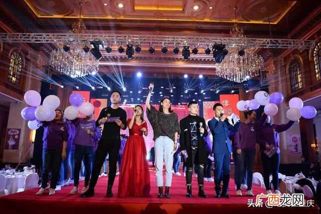 一支酸奶牛是什么意思（一只酸奶牛和1支酸牛奶