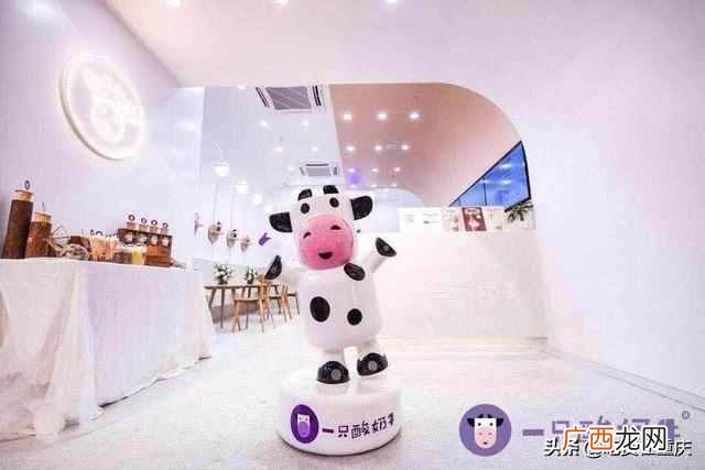 一支酸奶牛是什么意思（一只酸奶牛和1支酸牛奶