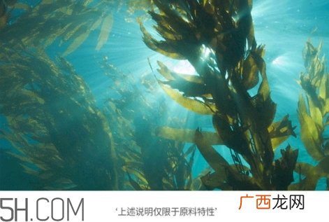 jmsolution珍珠面膜多少钱？jm珍珠面膜好用不过百元