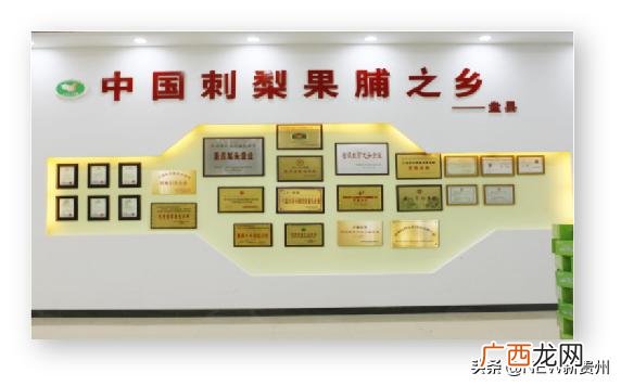 2020年什么产品需要代理,2020年新产品代理官网