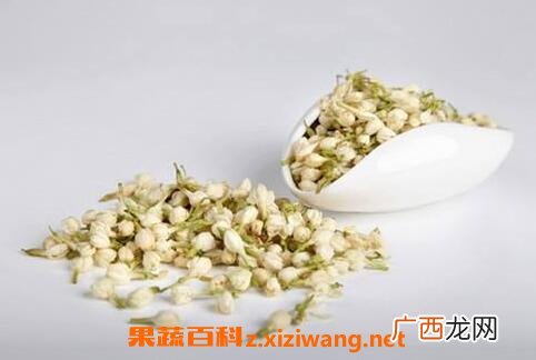 茉莉花的功效与作用 茉莉花的药用价值