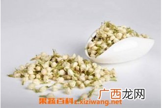 茉莉花的功效与作用 茉莉花的药用价值