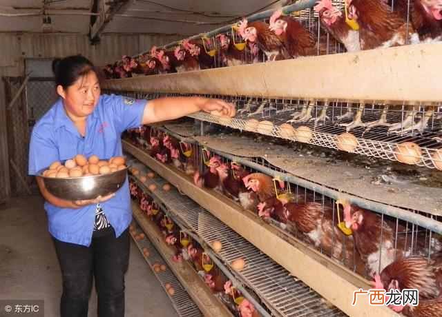 大好前景养殖项目推荐 养殖什么最好养殖场