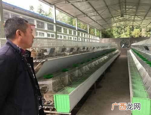 养殖什么最好养殖（10大赚钱养殖项目你值得一看