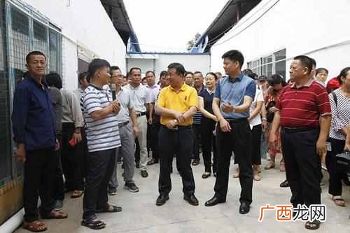 养殖什么最好养殖（10大赚钱养殖项目你值得一看