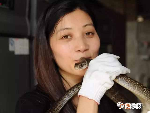 大概要投入多少 养什么毒蛇最赚钱