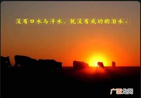 一天挣300-500的方法 搞什么赚钱最快的方法