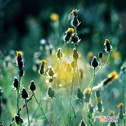 这些行业能月入过万 小城市什么工作赚钱多