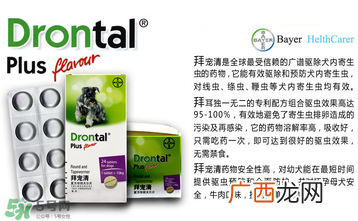 拜宠清要怎么喂？拜宠清驱虫药说明书