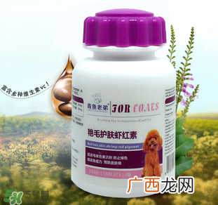 泰迪吃虾红素好吗？虾红素的功效与作用