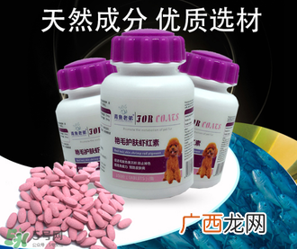 泰迪吃虾红素好吗？虾红素的功效与作用
