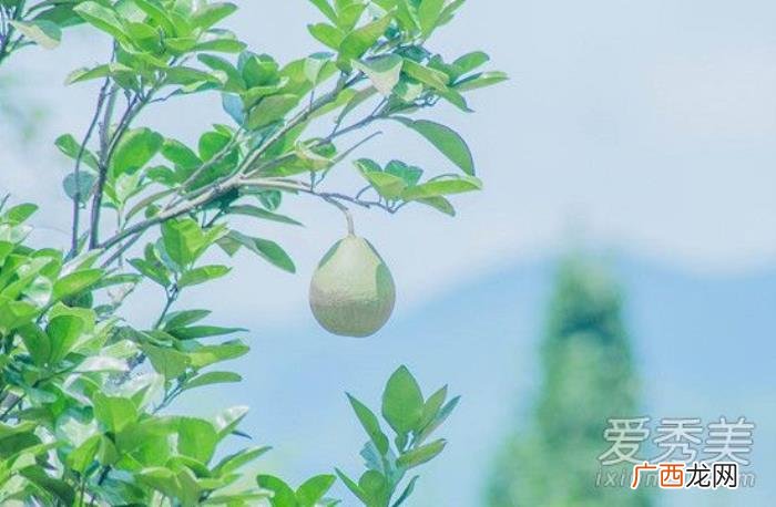 母亲节心情说说大全 母亲节的说说