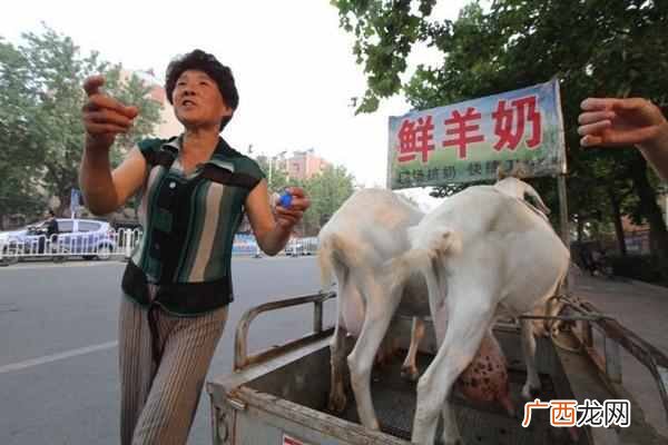 鲜奶吧都卖什么牌子好（鲜奶吧加盟都有哪些品