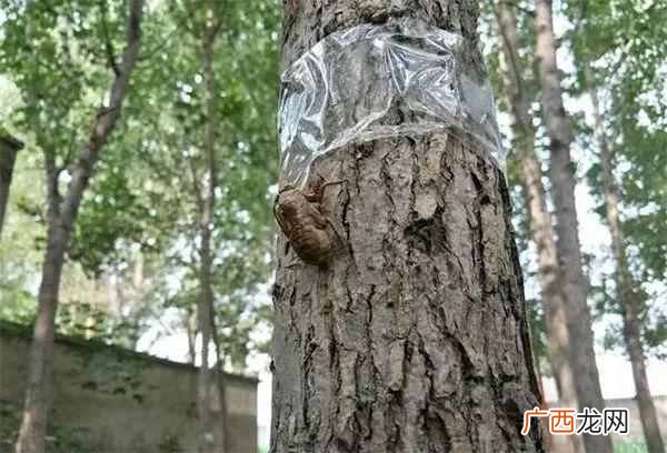 现在搞什么养殖业最赚钱吗（养殖业发展潜力大