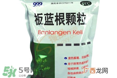 板蓝根颗粒是中药吗？板蓝根是中药还是西药？