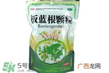 冬天喝板蓝根好吗?板蓝根的功效与作用