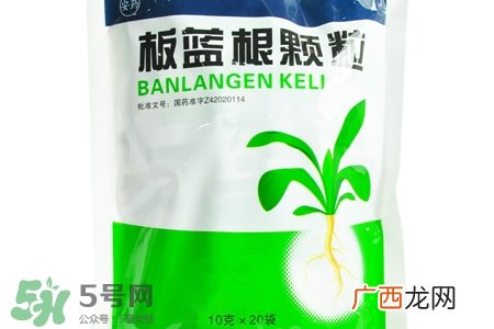 冬天喝板蓝根好吗?板蓝根的功效与作用