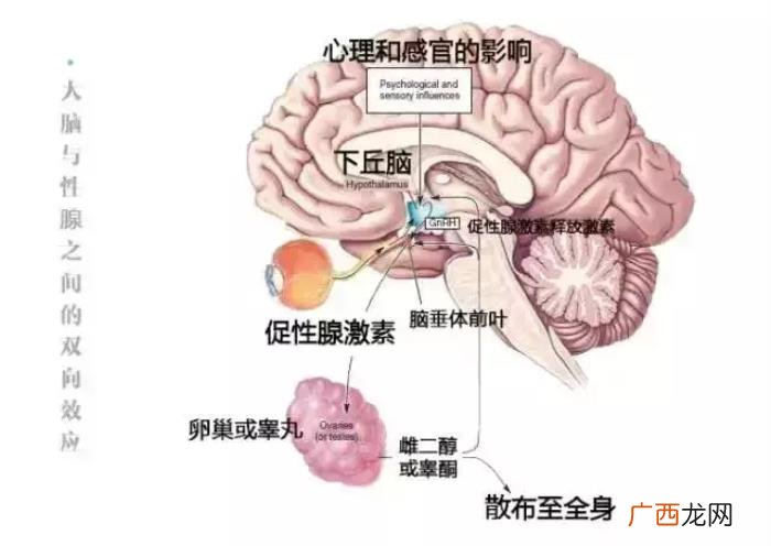 喜欢一个人非要上她嘛，男生喜欢女生就想睡她吗