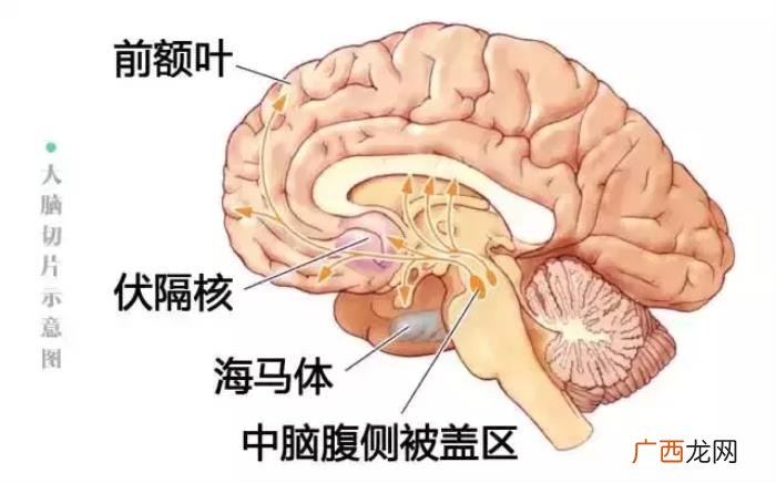喜欢一个人非要上她嘛，男生喜欢女生就想睡她吗