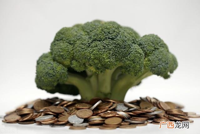 开一家药膳的前景 药膳店的前景