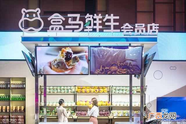 什么是高端实体项目（十大暴利实体店行业有那