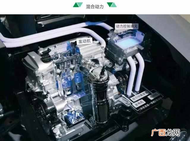 咖啡行业政策分析 什么是咖啡政策