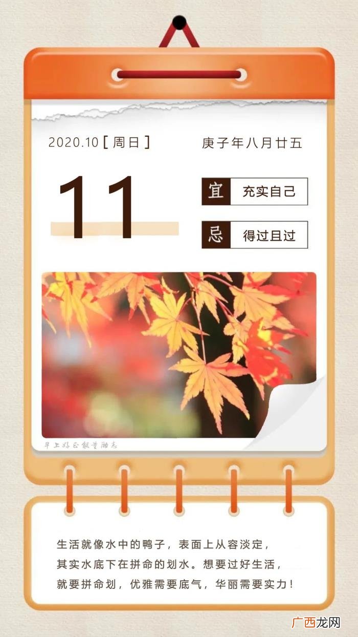 周末励志心灵鸡汤带图片经典 心灵鸡汤图片
