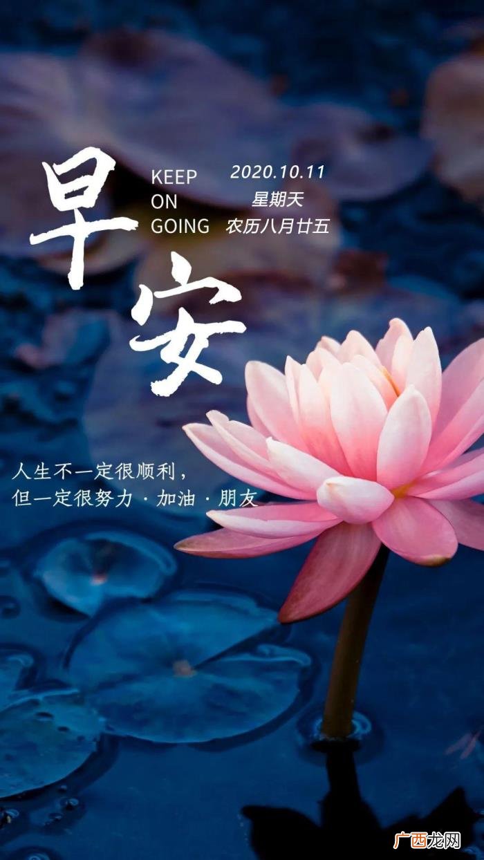 周末励志心灵鸡汤带图片经典 心灵鸡汤图片