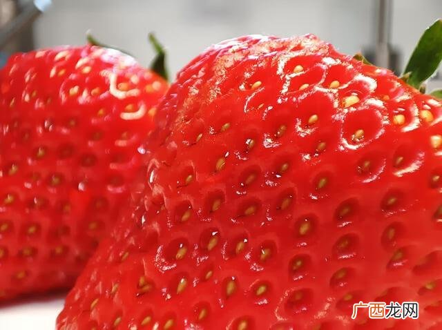 新型洗洁精设备及报价,洗洁精设备小型