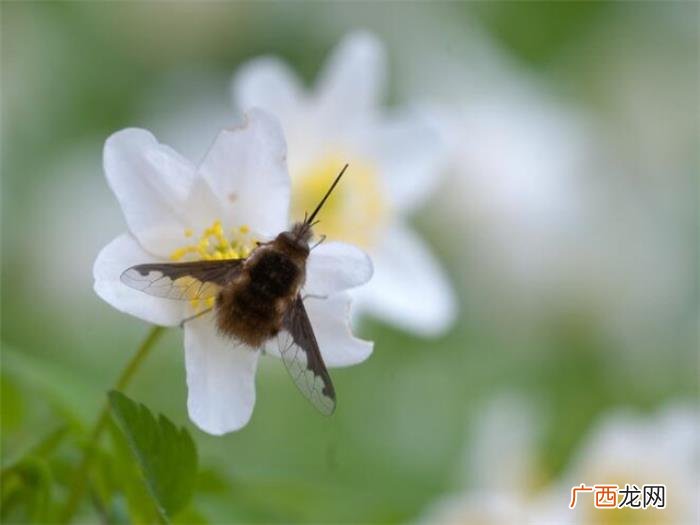 形容天气忽冷忽热的说说 天气阴沉沉的心情短语