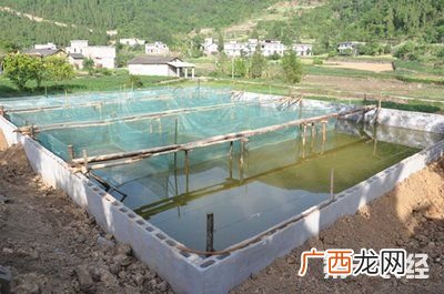 新型黄鳝池 黄鳝养殖池的建造