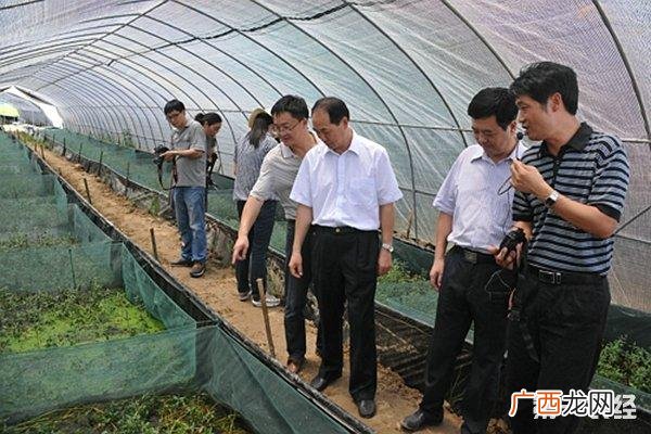 网箱养殖黄鳝技术 黄鳝养殖大棚怎么建