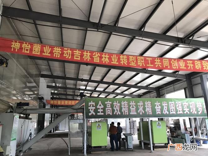 冷水鱼养殖 吉林冷水鱼养殖