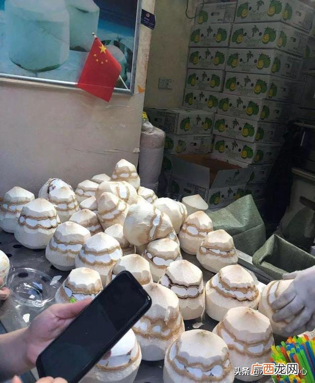 椰子为主题的饮品店,椰子甜品加盟店10大品牌