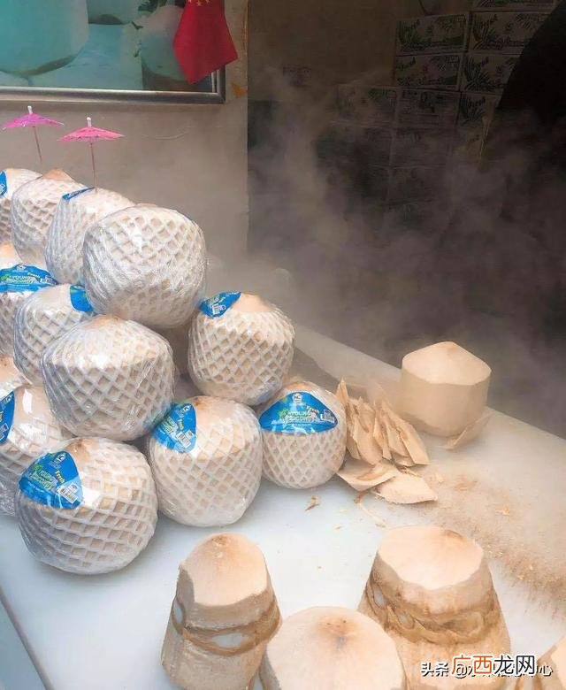 椰子为主题的饮品店,椰子甜品加盟店10大品牌