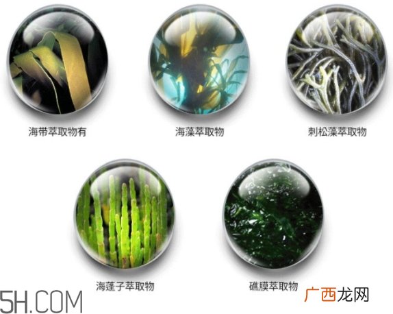 jmsolution珍珠面膜怎么用？jm珍珠珍珠面膜分为三部曲