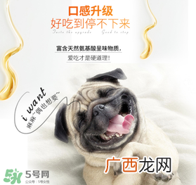 狗狗营养膏什么牌子好？狗狗营养膏多少钱？