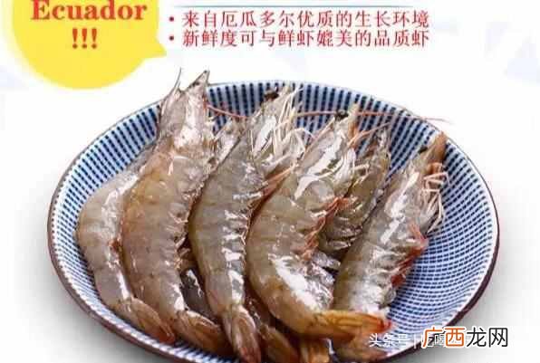 李想大虾用什么虾做的（李想大虾好吃么哪里可