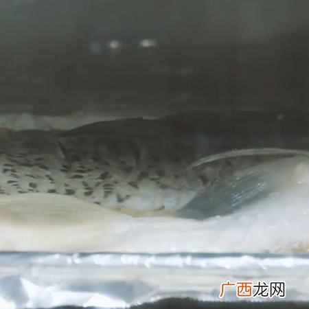 在家做烤鱼需要什么材料 自家怎么做烤鱼