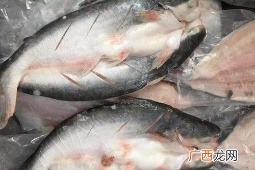 海鲳鱼有养殖的吗 江鱼可以养殖嘛