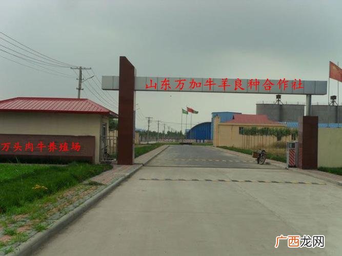 山东特种养殖场 莒南 坊前 特种养殖