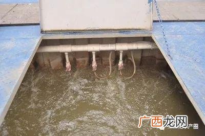 猪粪养鱼科技苑视频 科技苑养殖?t鱼视频