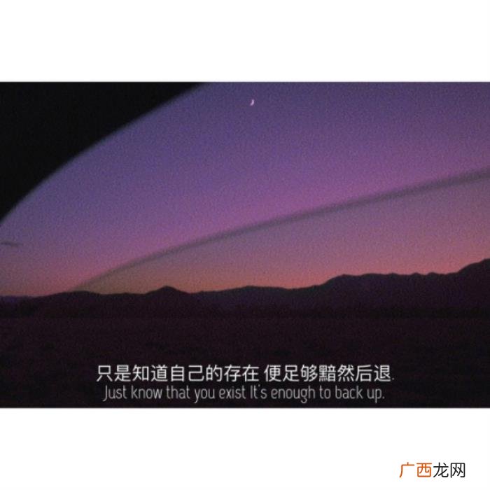 喝醉后发朋友圈的句子 喝醉的说说