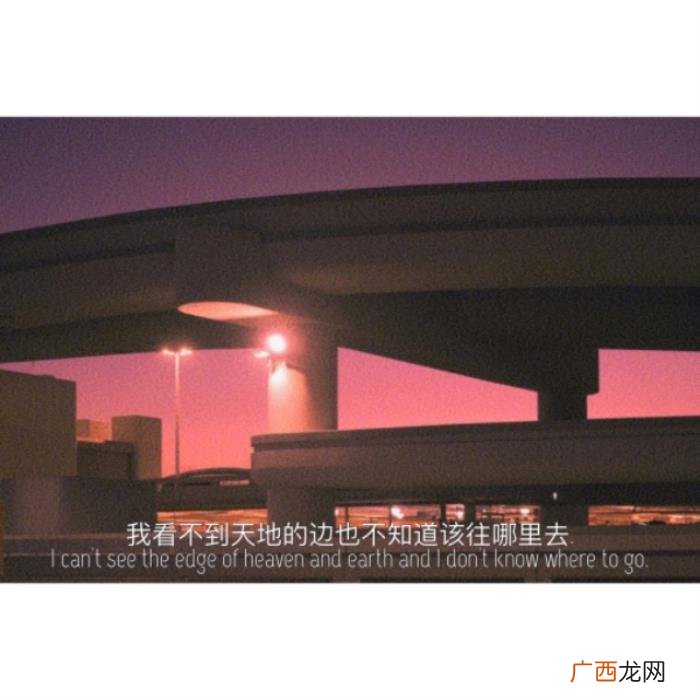 喝醉后发朋友圈的句子 喝醉的说说