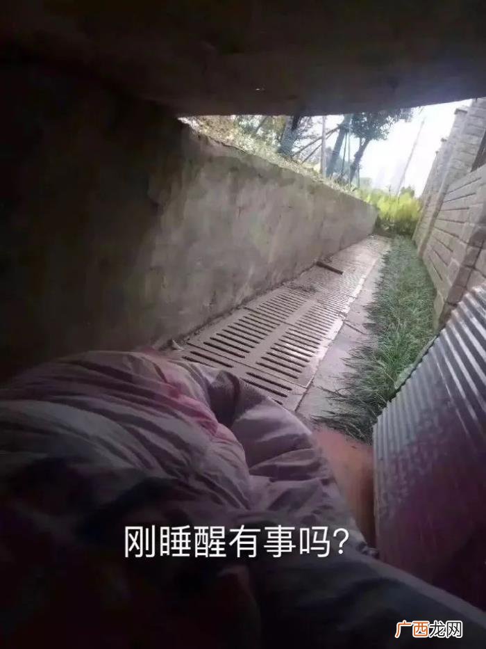 斗图表情包合集｜不生气 不生气图片
