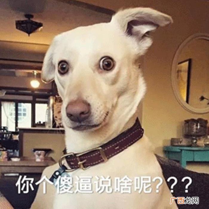 斗图表情包合集｜不生气 不生气图片