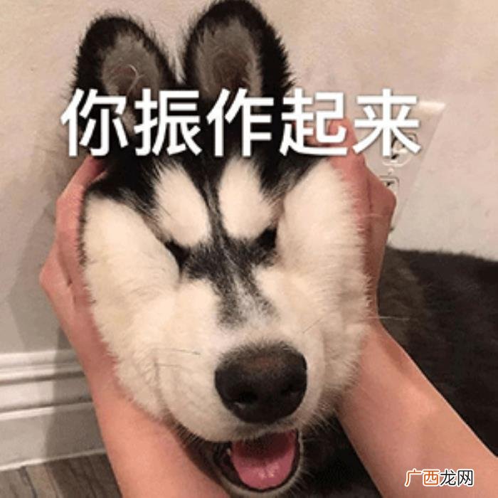 斗图表情包合集｜不生气 不生气图片