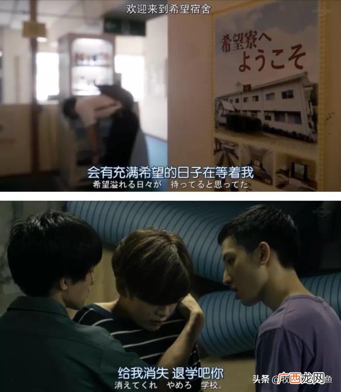 道枝骏佑也想谈恋爱了 道枝骏佑女友