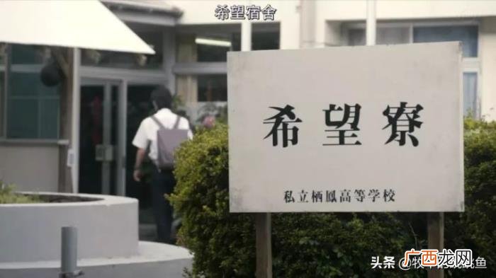 道枝骏佑也想谈恋爱了 道枝骏佑女友