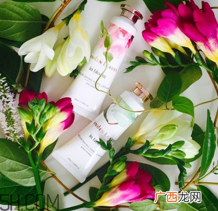 linden leaves香氛护手霜好用吗？laura ashley护手霜好用吗？
